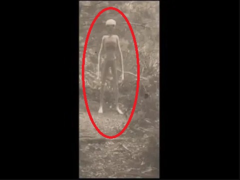 Strange Creatures Caught on Camera in United Kingdom, Canada, India and United States