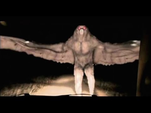 Top 30 Strange Creatures Found on Earth