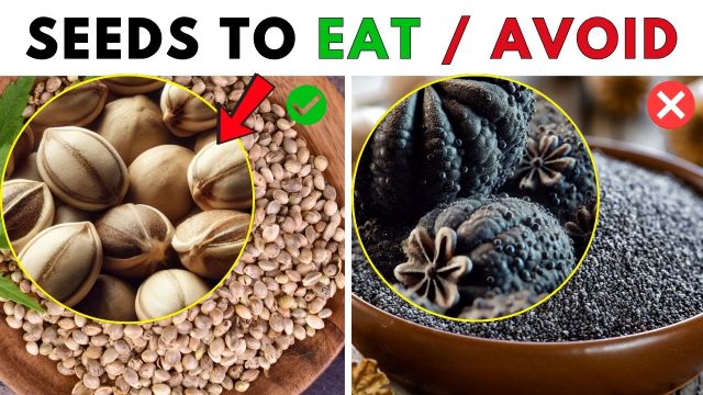 ALERT: 5 Seeds You Must Eat and 5 to Avoid at All Costs!